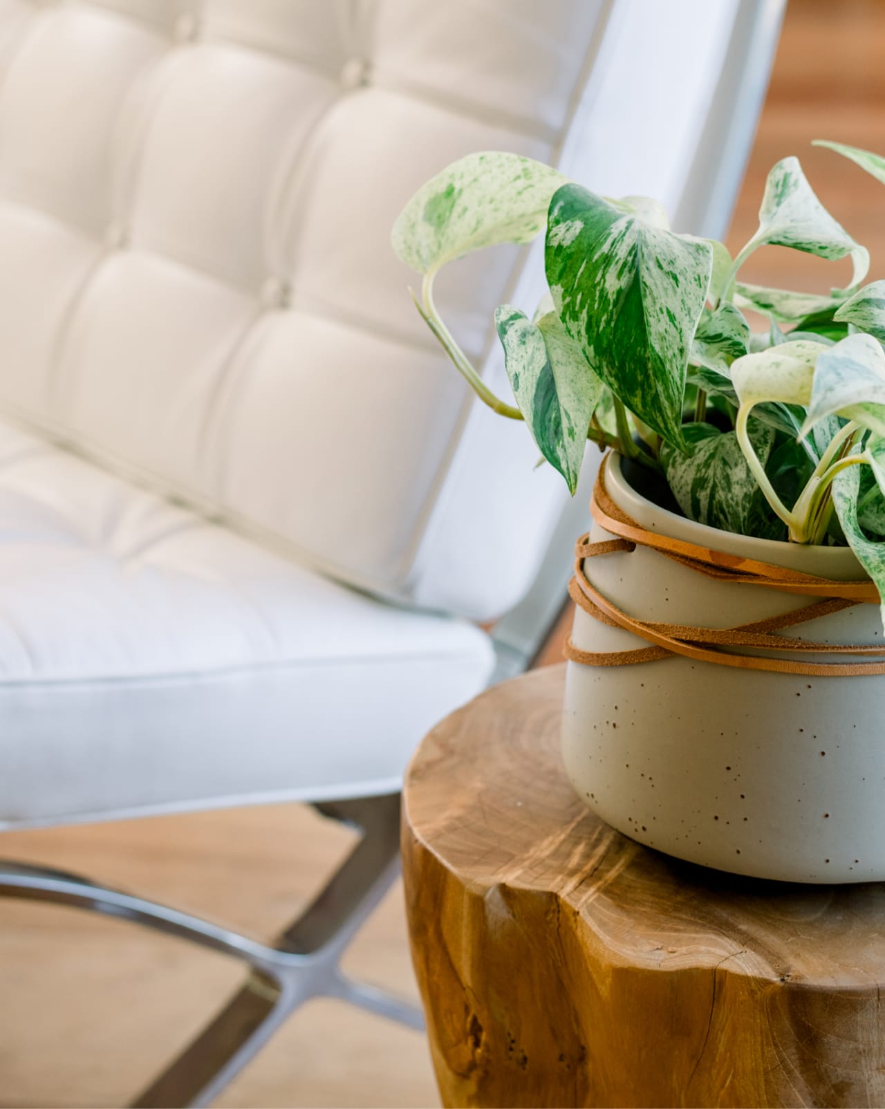 home-staging_44